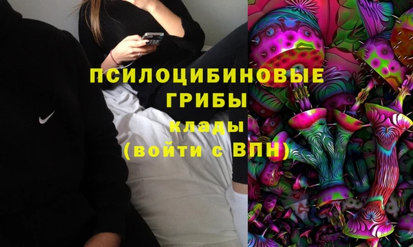 сатива Балабаново