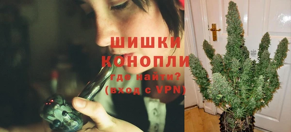 сатива Балабаново